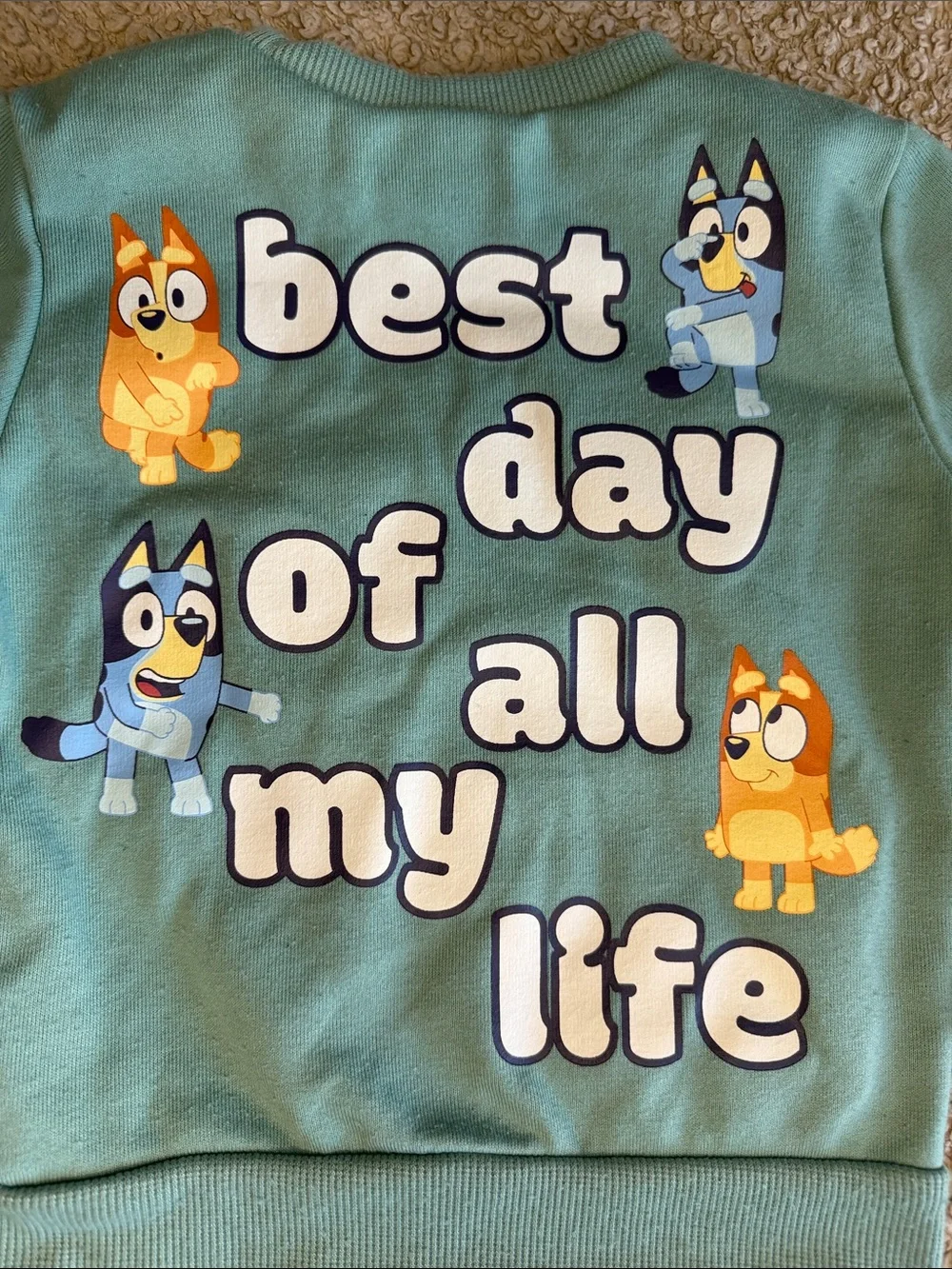 Bluey official themed